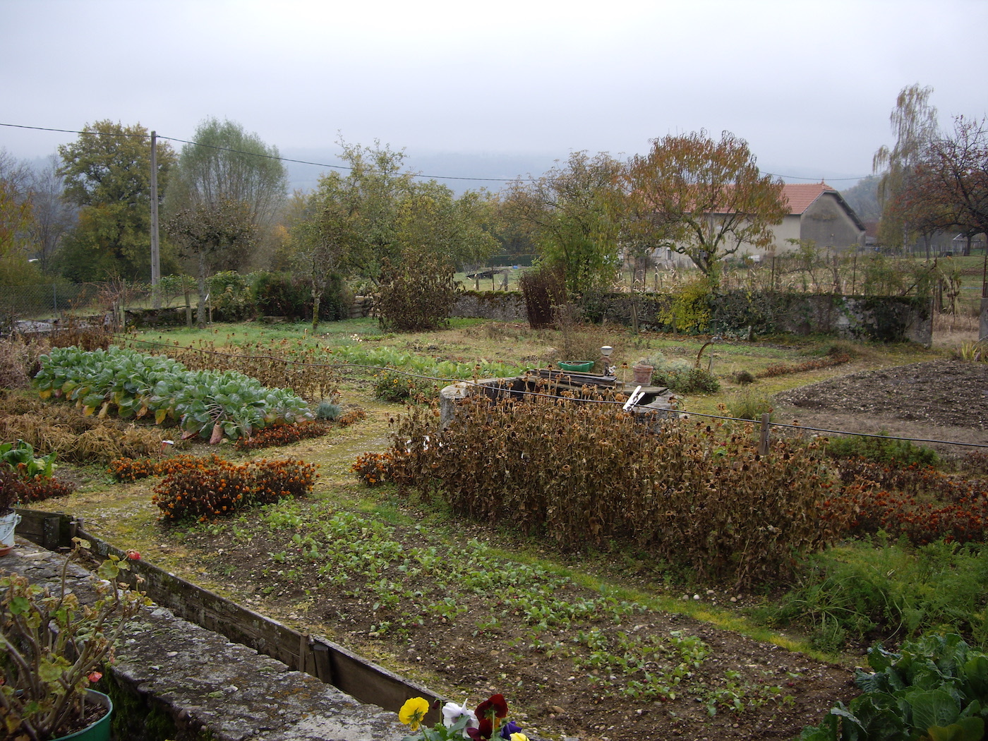 jardin