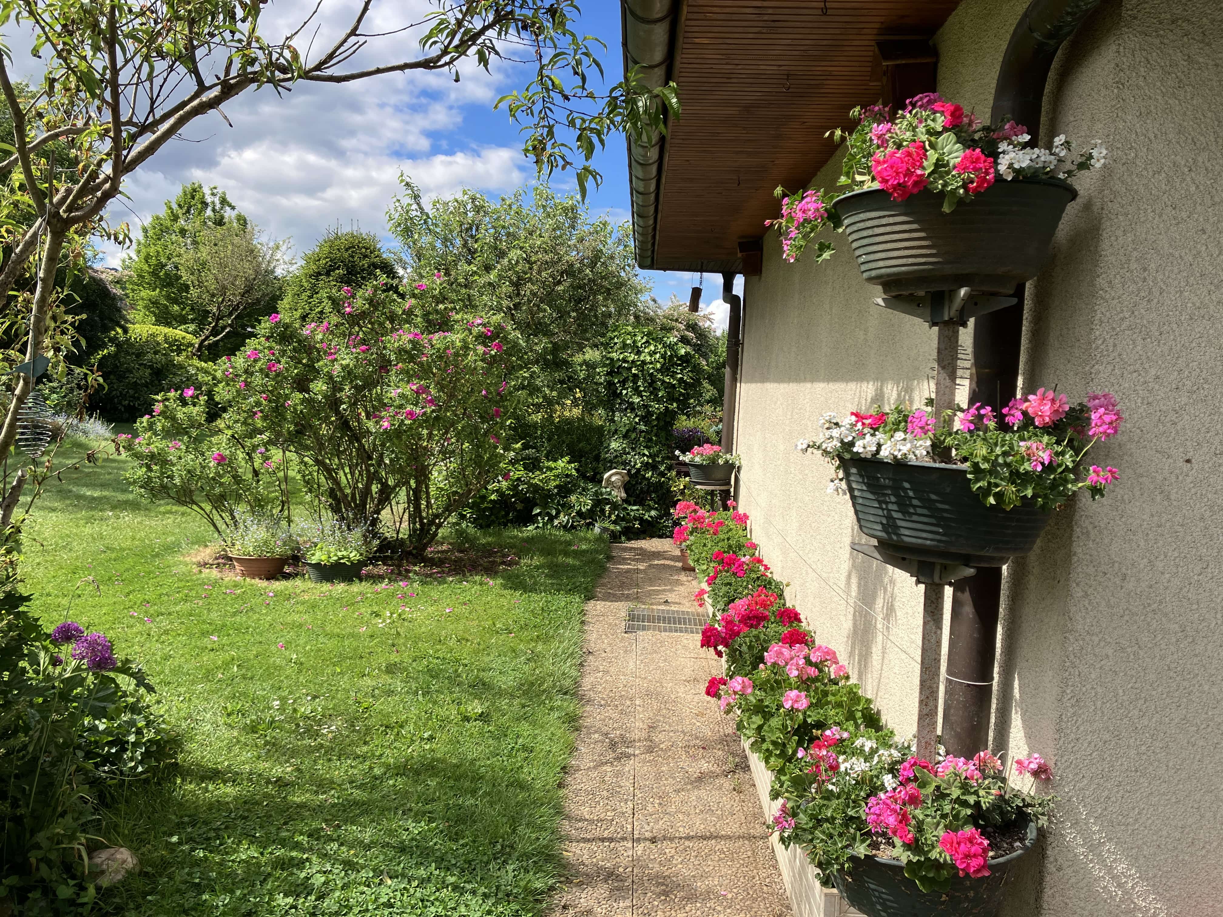 tour